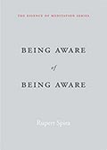 Being Aware of Being Aware