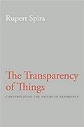 The Transparency of Things: Contemplating the Nature of Experience